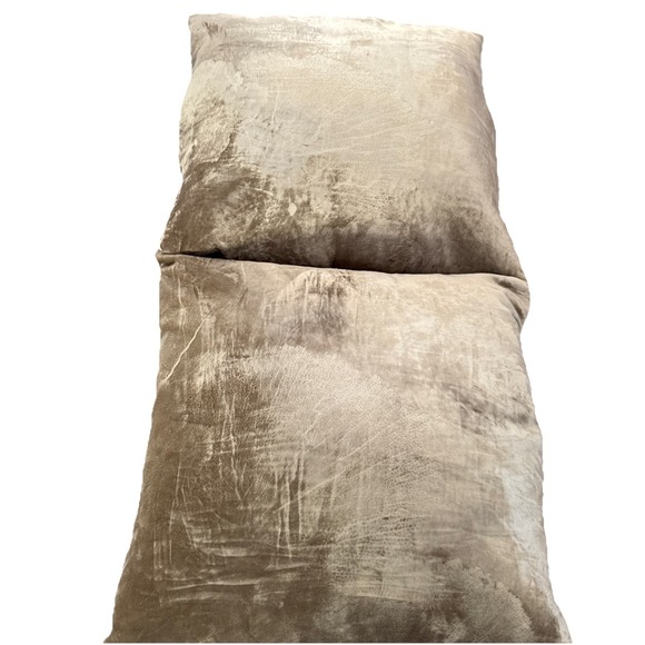 Aviva Stanoff Other - 2 Aviva Stanoff Sea Fan Pillow 18x18" Square Velvet‎ pale sea green Down Inserts